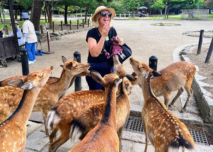 Mt. Fuji & Lake Kawaguchi Tour