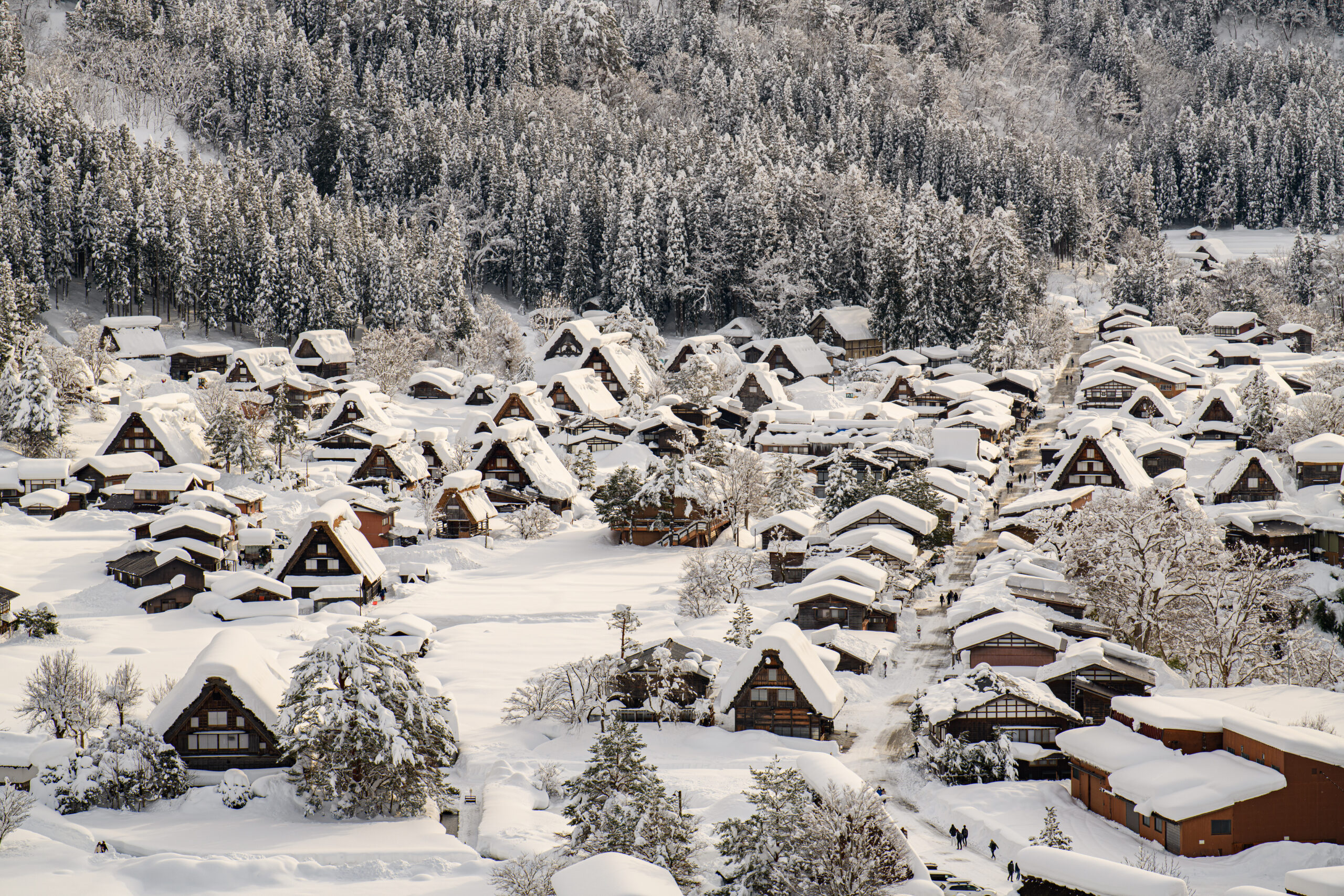 Shirakawa-go2